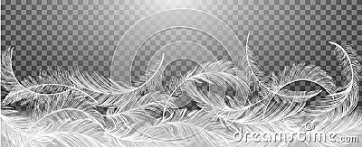 White Realistic Different Falling Feathers Isolated on Transparency Grid Background. Vector Illustration