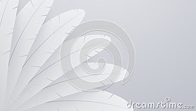 White realistic feather background. Abstract composition. Vector Illustration