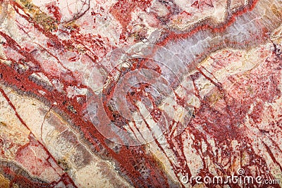White and red jasper texture close-up Stock Photo