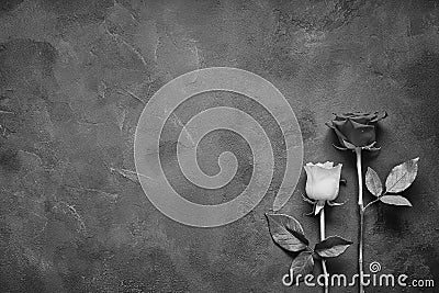 White and red rose on a beautiful stone background Stock Photo