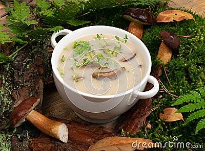 White Restaurant Plate with Cream Boletus Mushroom Soup Stock Photo