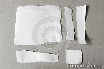 White ripped notes, set of pieces of torn different shapes paper on gray Stock Photo