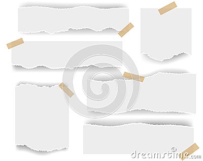 White Ripped paper Isolated White Background Vector Illustration