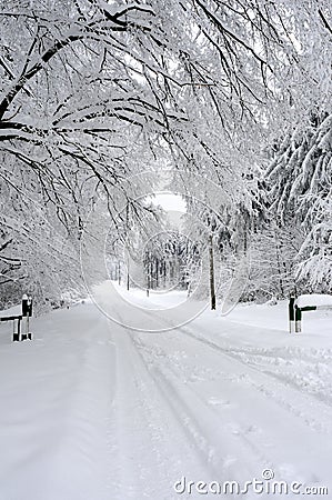 White road and trees in winter season Stock Photo