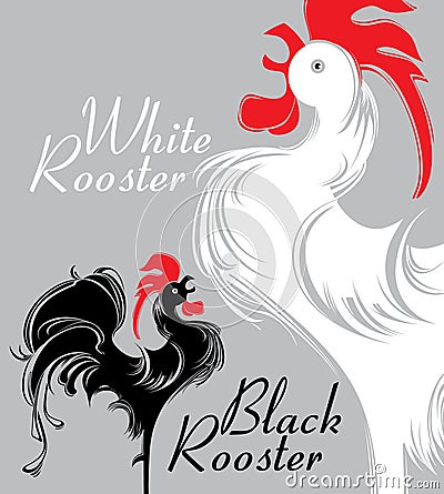 White Rooster. Black Rooster. Stock Photo