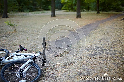 White and rose bicycle lays on the abandoned path in a park or forest in a lovely autumn day. Nobody is around, calm and relax amb Stock Photo