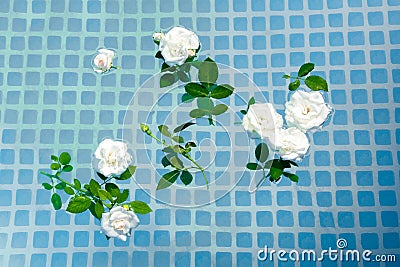White rose bouquet flower on water surface with sunlight reflections. Youth, freshness and Stock Photo