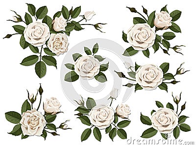 White rose boutonniere set Vector Illustration