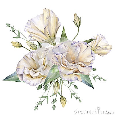 White Rose. Eustoma. Isolated on a white background. Cartoon Illustration