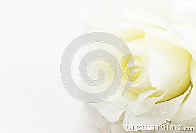 White rose fake flower on white background Stock Photo