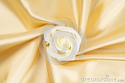 White rose on gold color silk Stock Photo