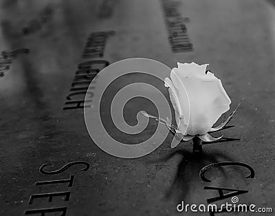 White Rose Memorial Editorial Stock Photo