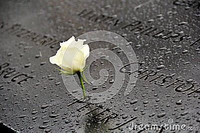 White rose memorial at 911 World Trade Center former site Editorial Stock Photo