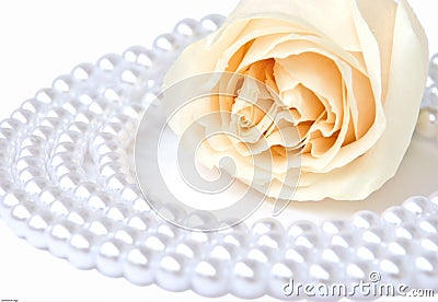 White rose and pearl necklace Stock Photo