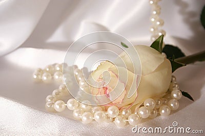 White rose and pearls Stock Photo