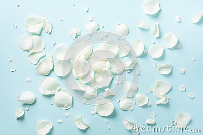 White rose petals over blue background. Valentine`s day, Women`s day concept. Festive texture with copy space. Flat lay, top vie Stock Photo