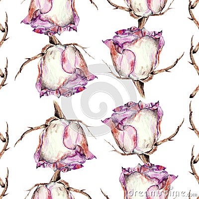 White rose, watercolor, pattern seamless Stock Photo