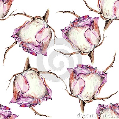 White rose, watercolor, pattern seamless Stock Photo