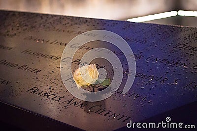 White rose at 911 World Trade Center Memorial site Editorial Stock Photo