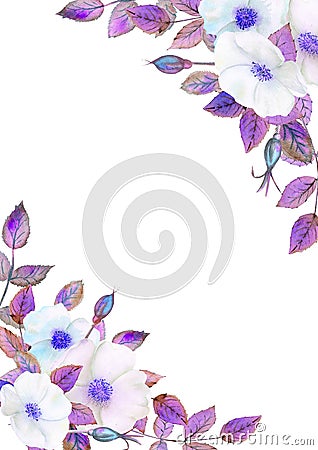 White rosehip flowers, flower arrangement in a geometric frame. Floral poster, invitation in purple tones. Watercolor compositions Stock Photo