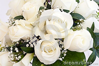 White roses Stock Photo