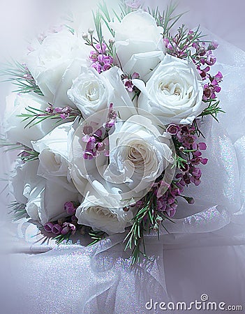 White roses Stock Photo