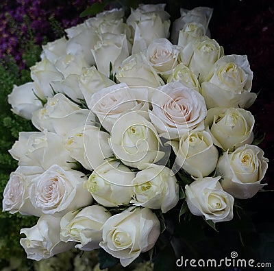 White Roses Background. Variety of white roses in beautiful bouquet. Bridal bouquet of white rose in bright colors in flower shop Stock Photo