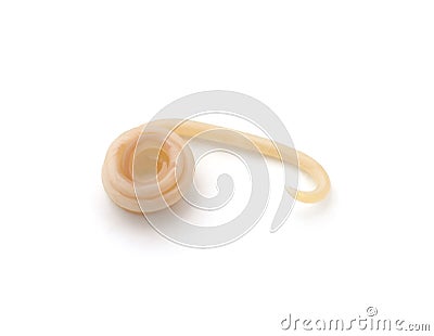 White roundworm parasite Stock Photo