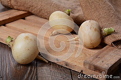 White rural turnip Stock Photo