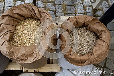 White sacks full with chickpeas, beans, buckwheat, millet, wheat, spelled, lentils, Einkorn wheat grains. Variety of beans, grains Stock Photo