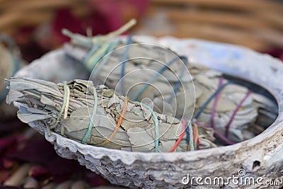 White Sage Smudge Sticks in a Seashell Stock Photo