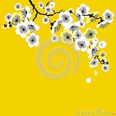 White sakura blossom on sunny yellow background. Vector Illustration