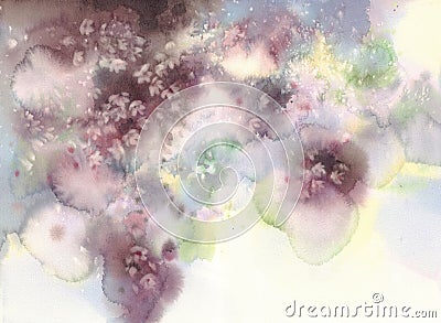 White sakura flower blossom on a dark background watercolor. Stock Photo