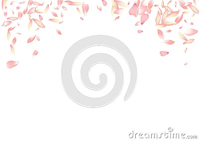 White Sakura Petal Vector White Background. Pink Vector Illustration