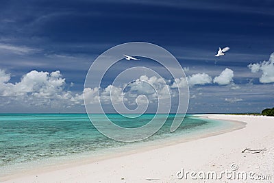 White sand beach on Cook Islet Stock Photo