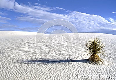 White Sands National Park in New Mexico Stock Photo