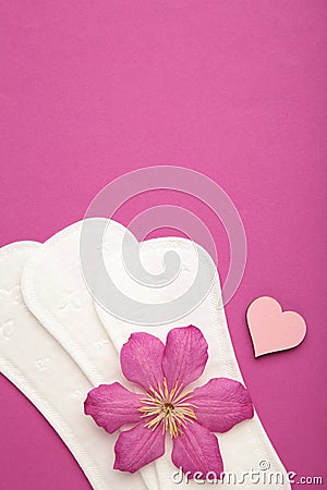 White sanitary pad, hygiene protection on a purple background. Gynecological menstrual cycle. A rose flower lies on a menstrual Stock Photo