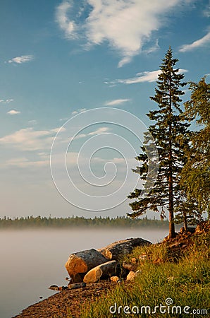 White Sea Shore Stock Photo