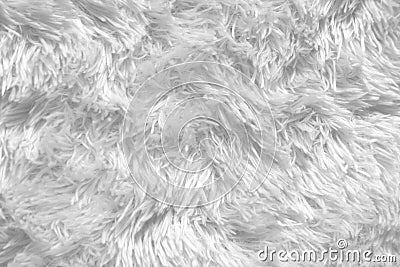 White Shag carpet texture Stock Photo