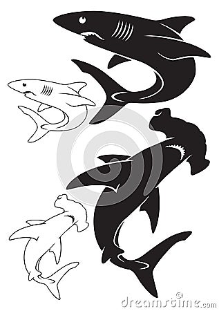 White shark Vector Illustration