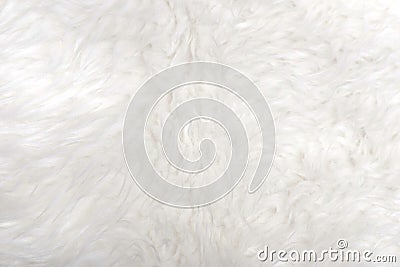 White sheep hair or wool for background Stock Photo