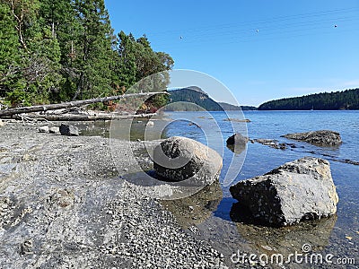 White shell beach at Montague Harbour Marine Park Stock Photo