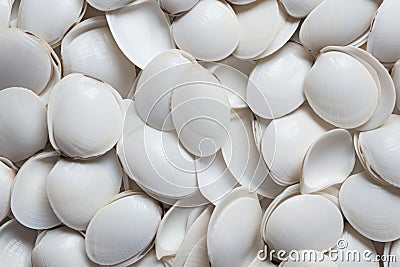 White shellfish spa pattern. Generate Ai Stock Photo