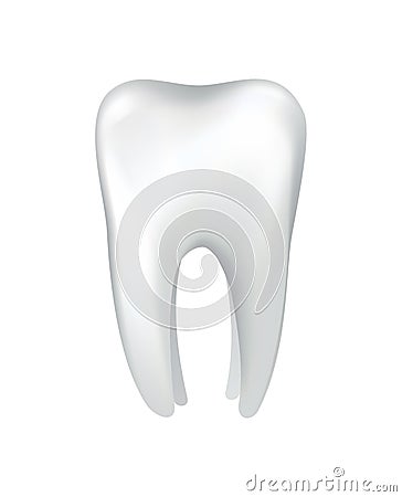 White shining human tooth. Dental medical vector icon. Stomatology clinic symbol. Teeth protection, oral or tooth care Vector Illustration