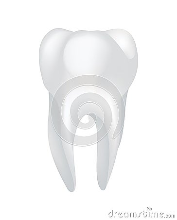 White shining human tooth. Dental medical vector icon. Stomatology clinic symbol. Teeth protection, oral or tooth care Vector Illustration