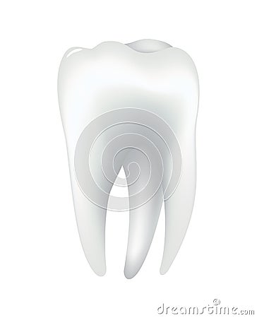 White shining human tooth. Dental medical vector icon. Stomatology clinic symbol. Teeth protection, oral or tooth care Vector Illustration