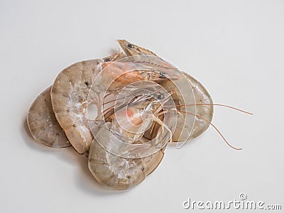 White shrimps on white background Stock Photo