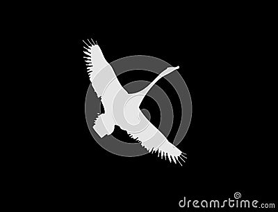 A white silhouette of an isolated flying bird on black background. Migrating bird in the sky. Stock Photo