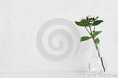 White small flowers in transparent vase on soft white wood table with copy space, modern elegance home decor. Stock Photo