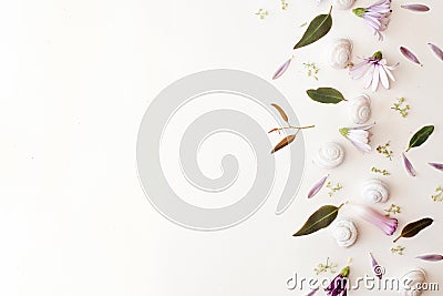 White snails on white background with petals and leaves background. Natural summer and spring border and frame Stock Photo